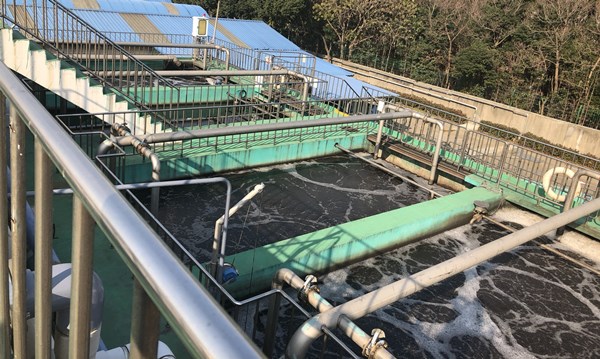 生物填料 生物填料