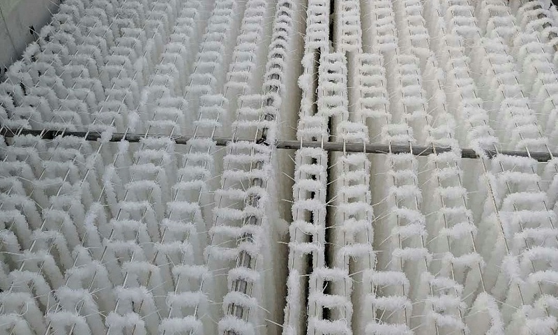 生物填料 生物填料