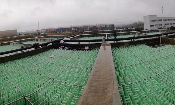 生物填料印染行業案例 生物填料印染行業案例