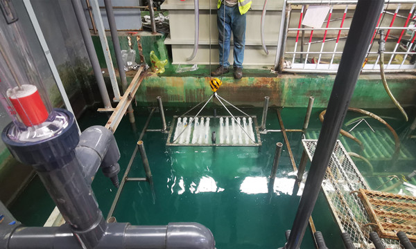 mbr膜組件.jpg mbr膜組件.jpg