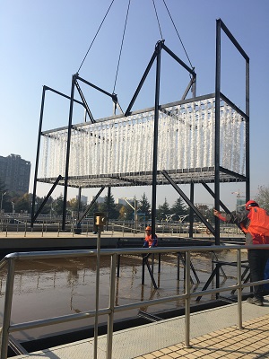 市政污水提標(biāo)改造