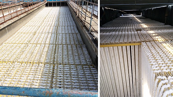 山東齊魯石化煉油廠橡膠廠廢水填料改造工程案例 山東齊魯石化煉油廠橡膠廠廢水填料改造工程案例