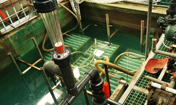 mbr污水處理 mbr污水處理