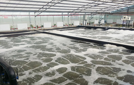 高寒地區(qū)生活污水處理技術(shù)解決方案